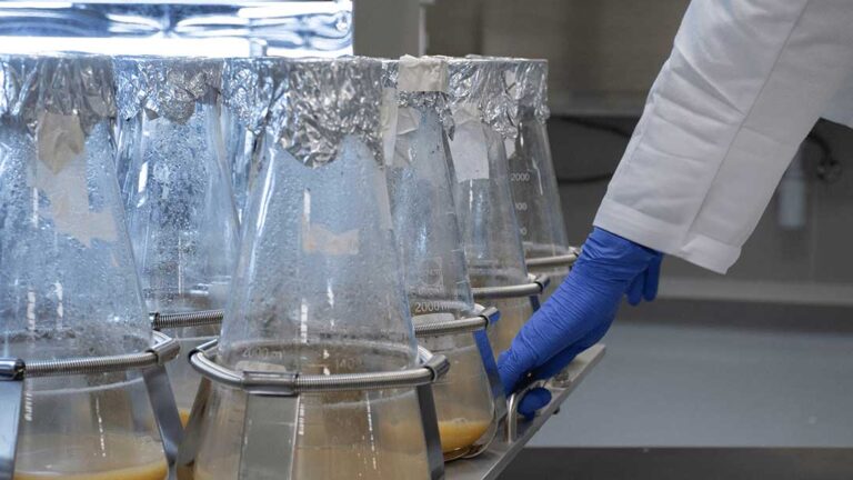 CDMO-3-labscale-culture