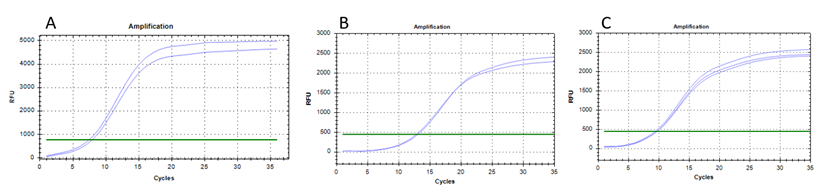qpcr-masteryeast-green-dye