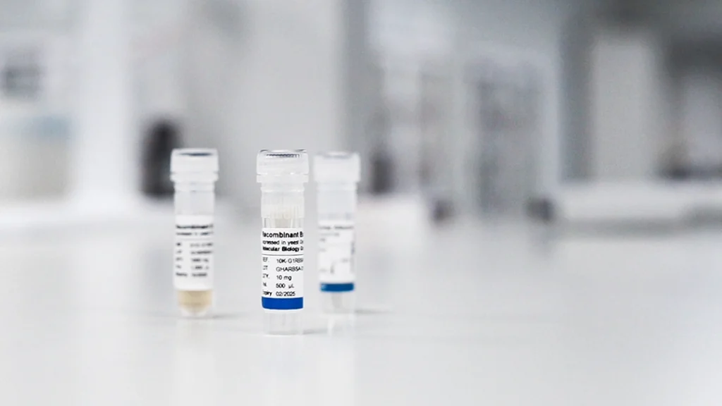 rBSA-bsa-protein-functions-levprot