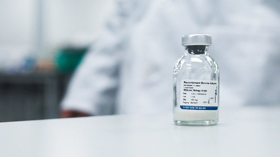 rBSA-bsa-functions-levprot