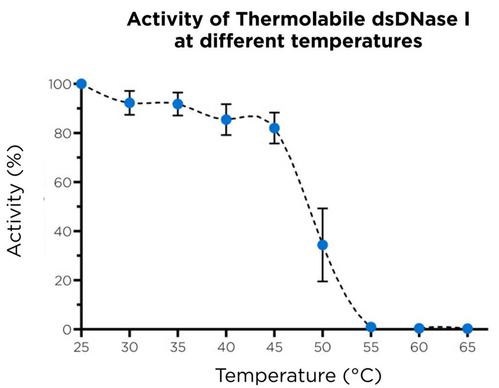 Thermolabile-dsDNase-I