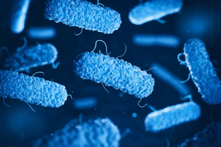 e-coli-vs-yeast-expression-system